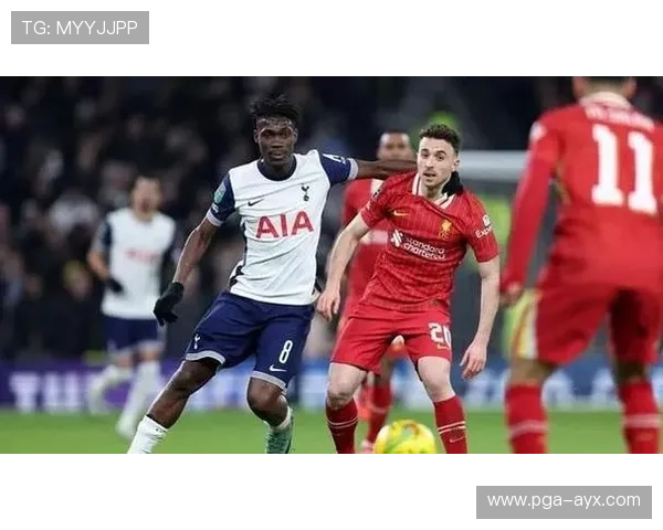 若塔闪耀赛场,葡萄牙锋线新引擎 若塔闪耀赛场,葡萄牙锋线新引擎